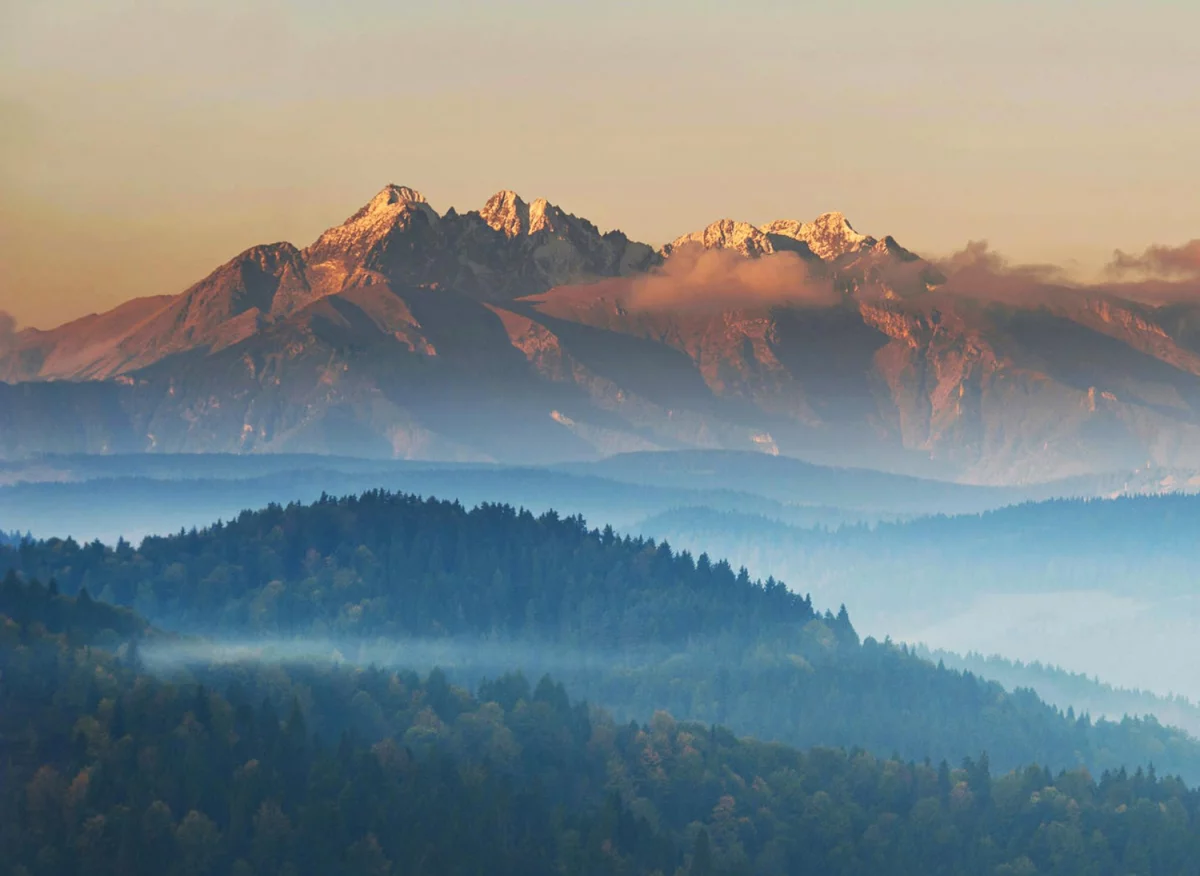 5 Największych Mitów O Tym Jak znaleźć dentystę w Cieszynie