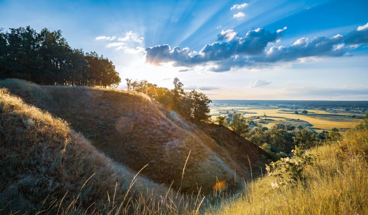 Jak fajnie robić tanie pozycjonowanie?