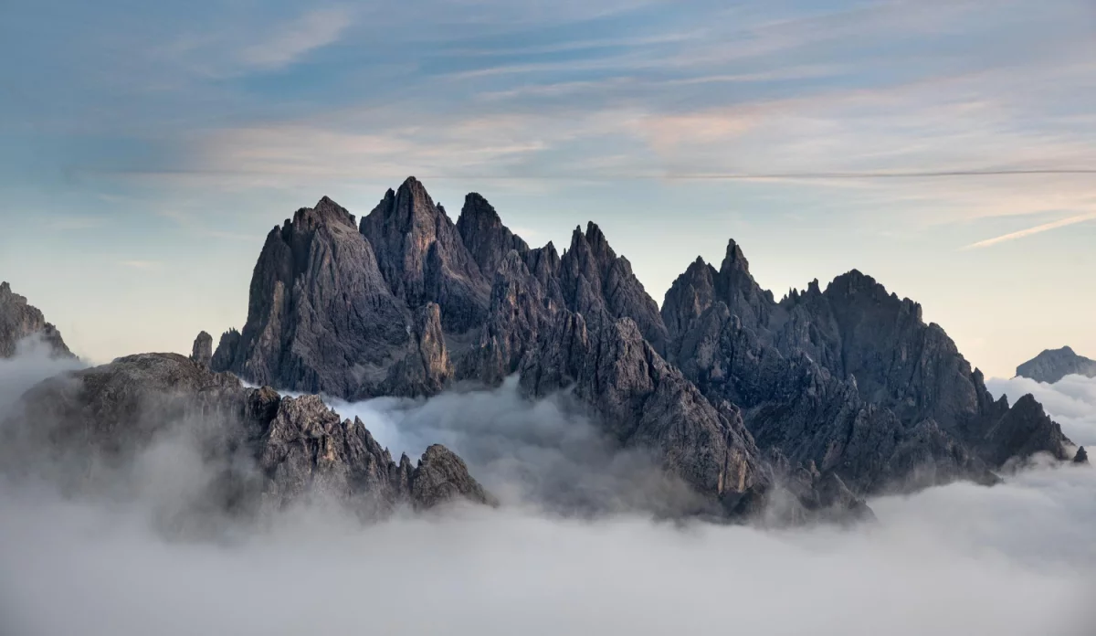 Cena tego jak kupić para cord