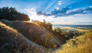 Ogólnie o kuchni wege