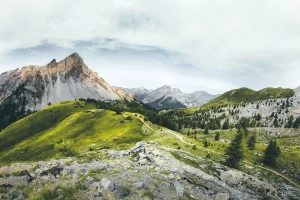 Czy można gotować wegańsko w niedzielę?