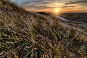 Czy można chronić środowisko we własnym domu?