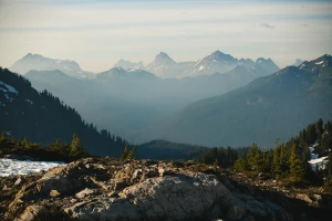 Oto Jak zrobić marketing W 11 Dni